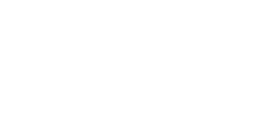 vulcanizare-alex-logo-white